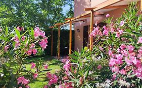 Camping le Marche